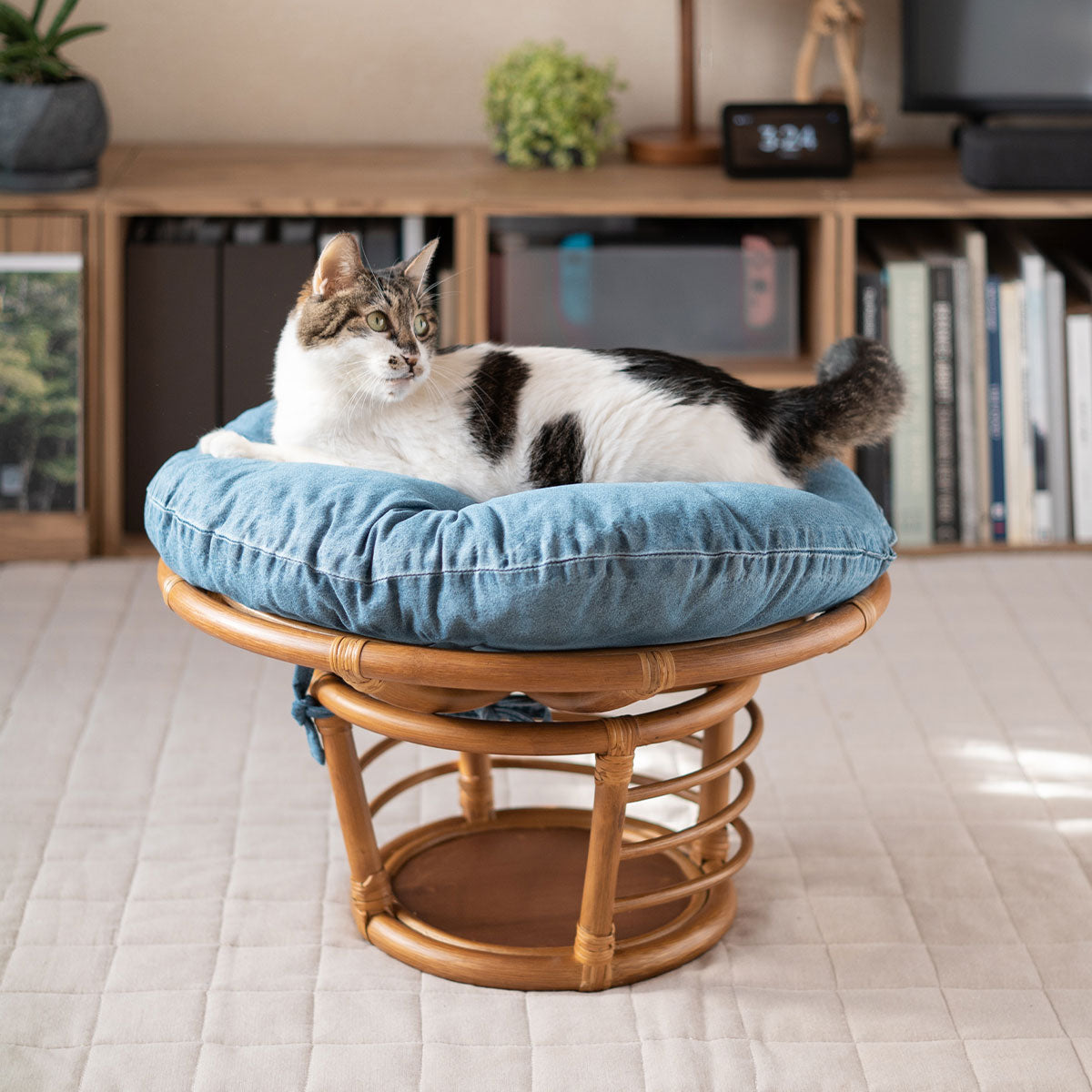 キャットベッド 猫 デニム風 クッション付き 空洞スペース付き ラタン 籐 天然素材 軽量 猫用ベッド ペットベッド 猫用 ペット用 隠れ家 寝床 あごのせ お昼寝 ペット用品