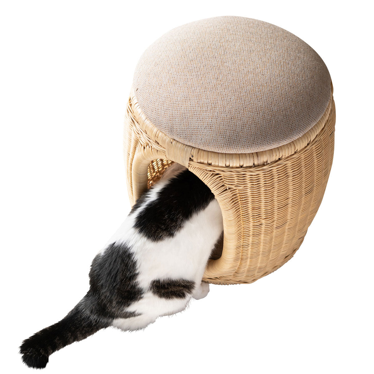 キャットベッド スツール 猫 クッション付き ラタン 籐 天然素材 軽量 猫用ベッド ペットベッド 猫用 ペット用 隠れ家 寝床 椅子 スツール 腰掛け ペット用品