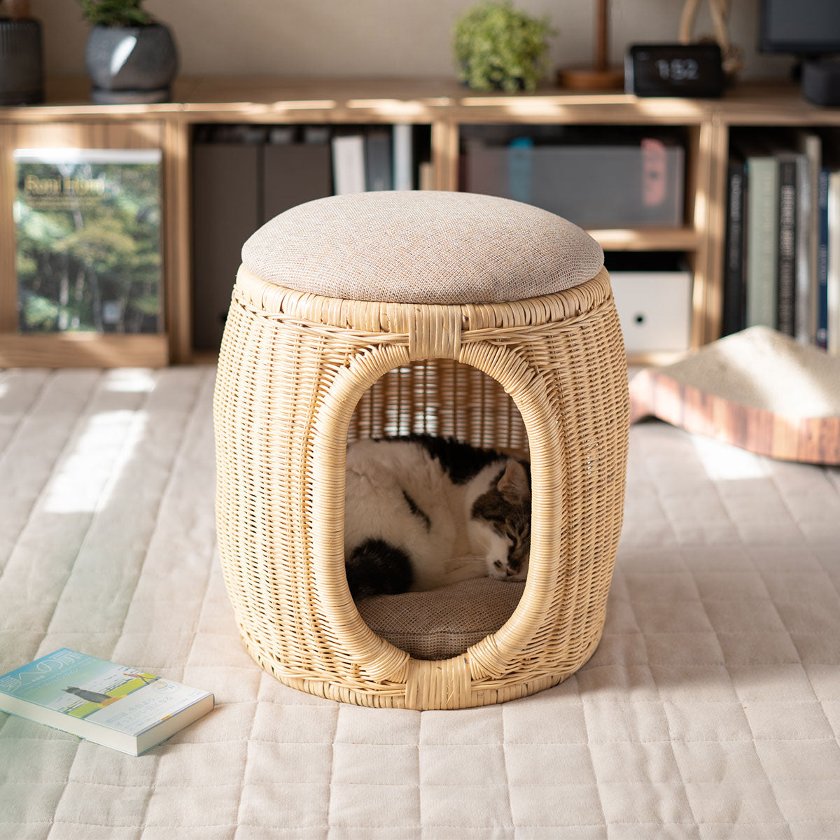 キャットベッド スツール 猫 クッション付き ラタン 籐 天然素材 軽量 猫用ベッド ペットベッド 猫用 ペット用 隠れ家 寝床 椅子 スツール 腰掛け ペット用品