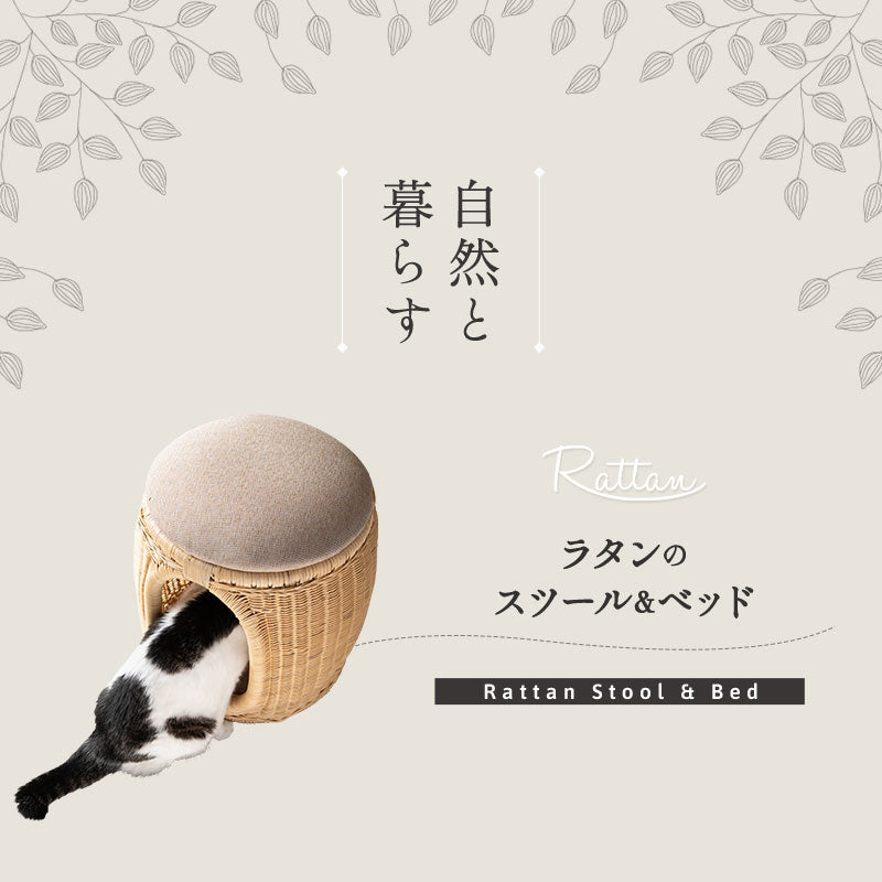 キャットベッド スツール 猫 クッション付き ラタン 籐 天然素材 軽量 猫用ベッド ペットベッド 猫用 ペット用 隠れ家 寝床 椅子 スツール 腰掛け ペット用品