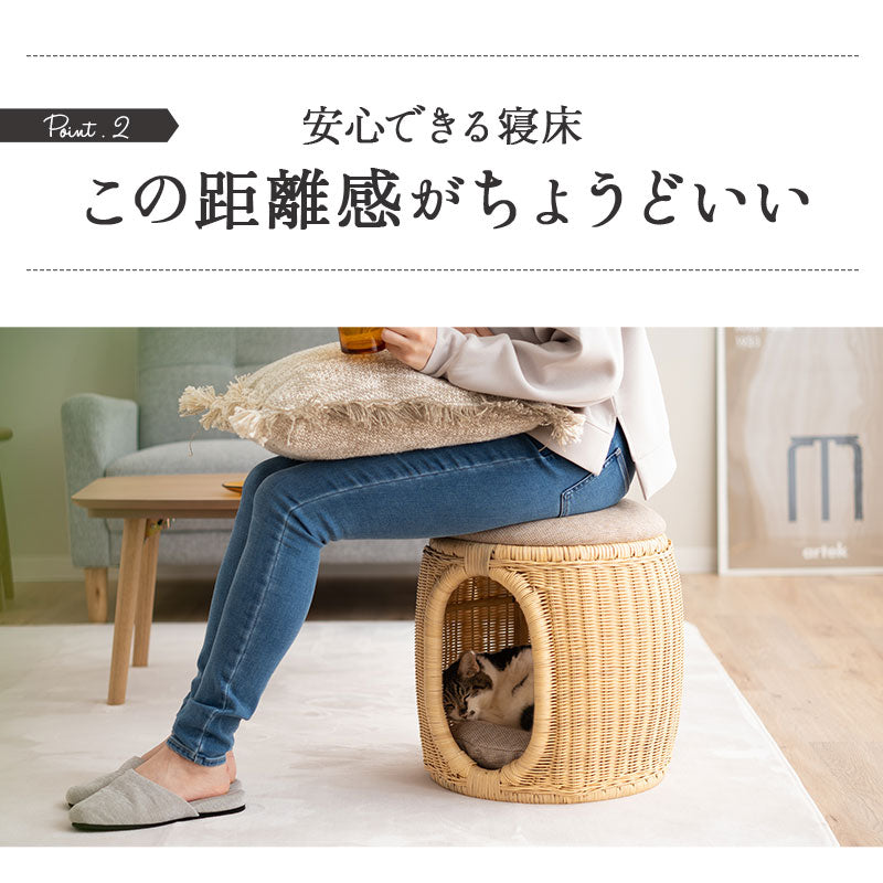 キャットベッド スツール 猫 クッション付き ラタン 籐 天然素材 軽量 猫用ベッド ペットベッド 猫用 ペット用 隠れ家 寝床 椅子 スツール 腰掛け ペット用品