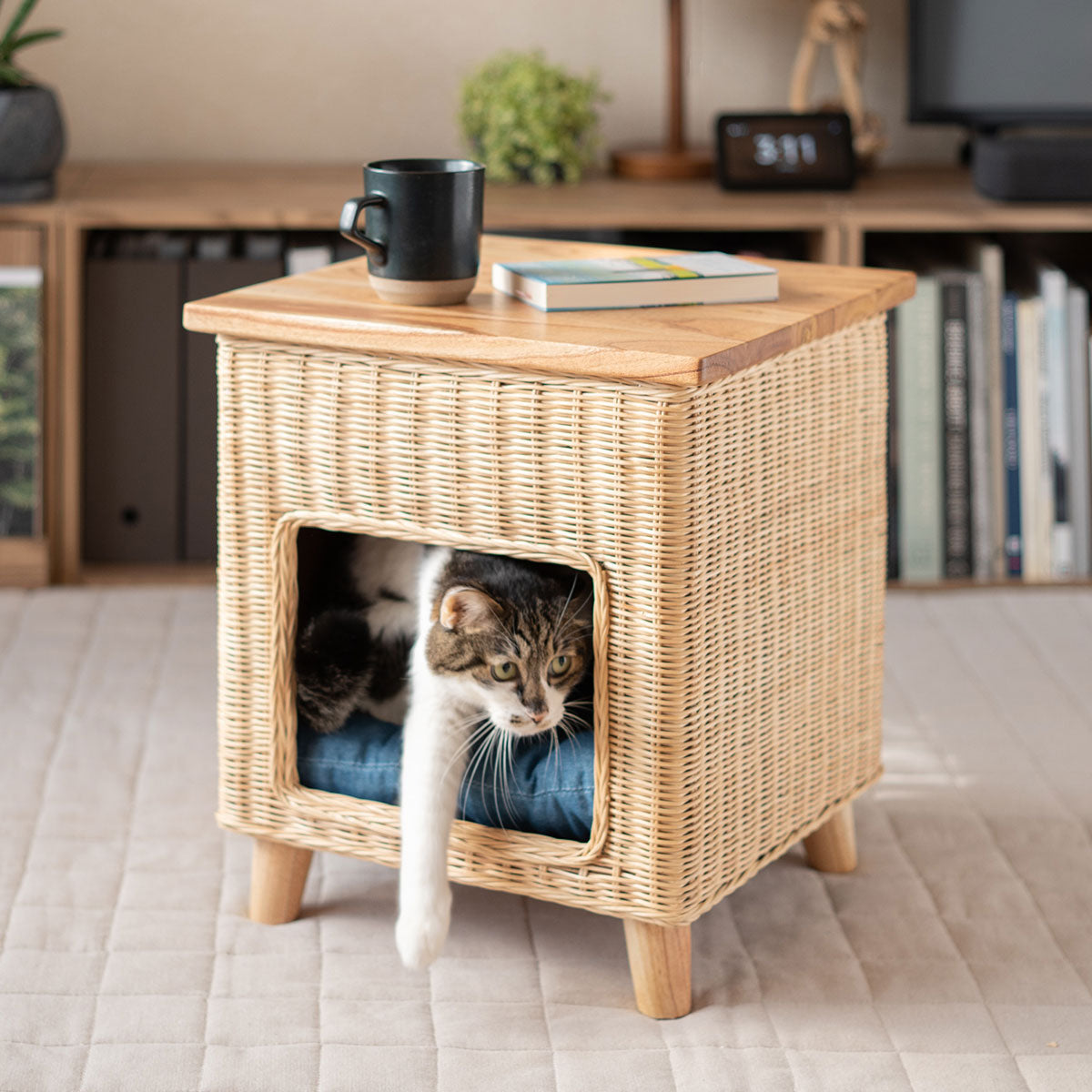 キャットベッド サイドテーブル 猫 クッション付き ラタン 籐 松 天然素材 軽量 猫用ベッド ペットベッド 猫用 ペット用 隠れ家 寝床 椅子 スツール 腰掛け ペット用品