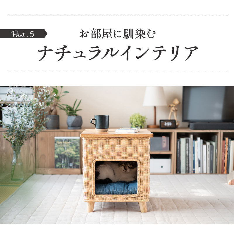 キャットベッド サイドテーブル 猫 クッション付き ラタン 籐 松 天然素材 軽量 猫用ベッド ペットベッド 猫用 ペット用 隠れ家 寝床 椅子 スツール 腰掛け ペット用品