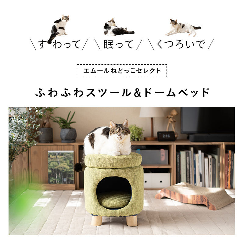 ドームベッド スツール 猫 クッション付き 天然木 軽量 キャットベッド 猫用ベッド ペットベッド 猫用 ペット用 隠れ家 寝床 椅子 腰掛け ペット用品