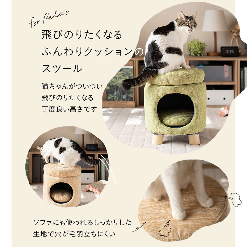 ドームベッド スツール 猫 クッション付き 天然木 軽量 キャットベッド 猫用ベッド ペットベッド 猫用 ペット用 隠れ家 寝床 椅子 腰掛け ペット用品
