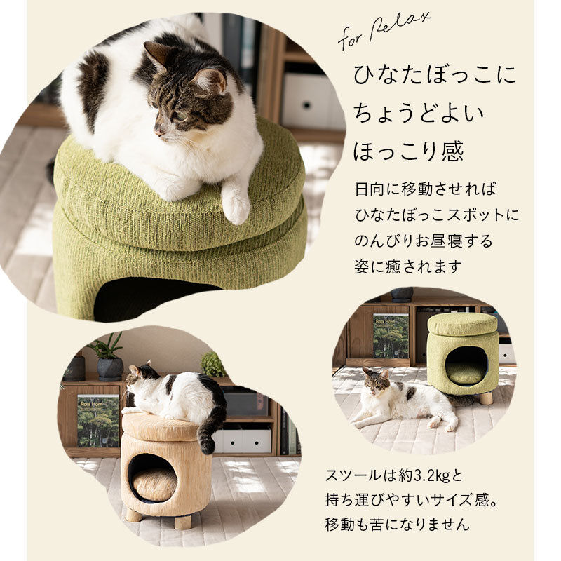 ドームベッド スツール 猫 クッション付き 天然木 軽量 キャットベッド 猫用ベッド ペットベッド 猫用 ペット用 隠れ家 寝床 椅子 腰掛け ペット用品