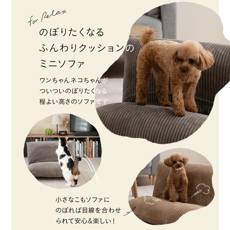 ミニソファ ソファベッド 超小型犬 小型犬 猫 折りたたみ 軽量 ペットベッド ドッグベッド キャットベッド 犬用ベッド 猫用ベッド 犬用 猫用 ペット用 寝床 ソファ 椅子 腰掛け ペット用品