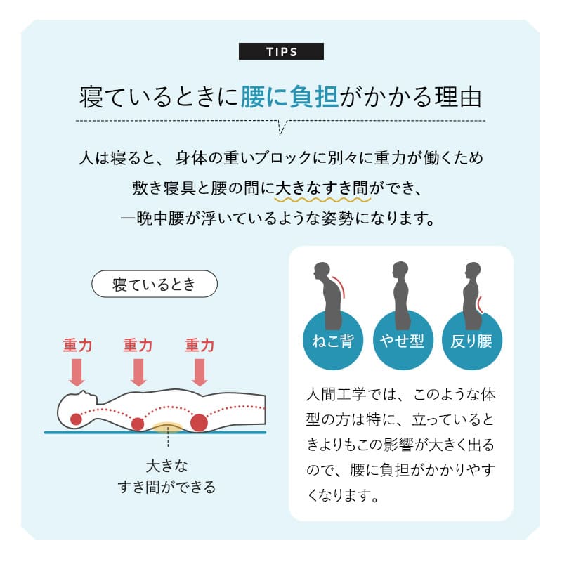すき間を埋める 腰まくら 腰枕 背中枕 腰用 クッション 高さ調節シート付き 腰痛 猫背 反り腰 ストレッチ 敬老の日 母の日 父の日 ギフト プレゼント
