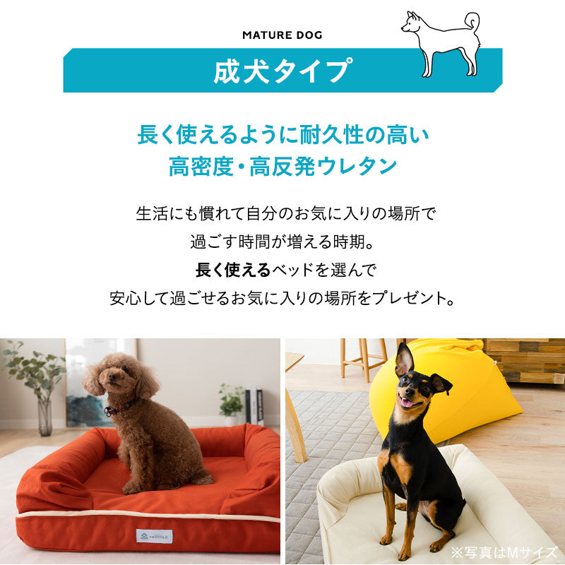 【ワンコnowa掲載】 年代に合わせて選ぶ 3Dベッド パピー&ハイシニアタイプ Lサイズ 小型犬 中型犬 洗えるカバー付き