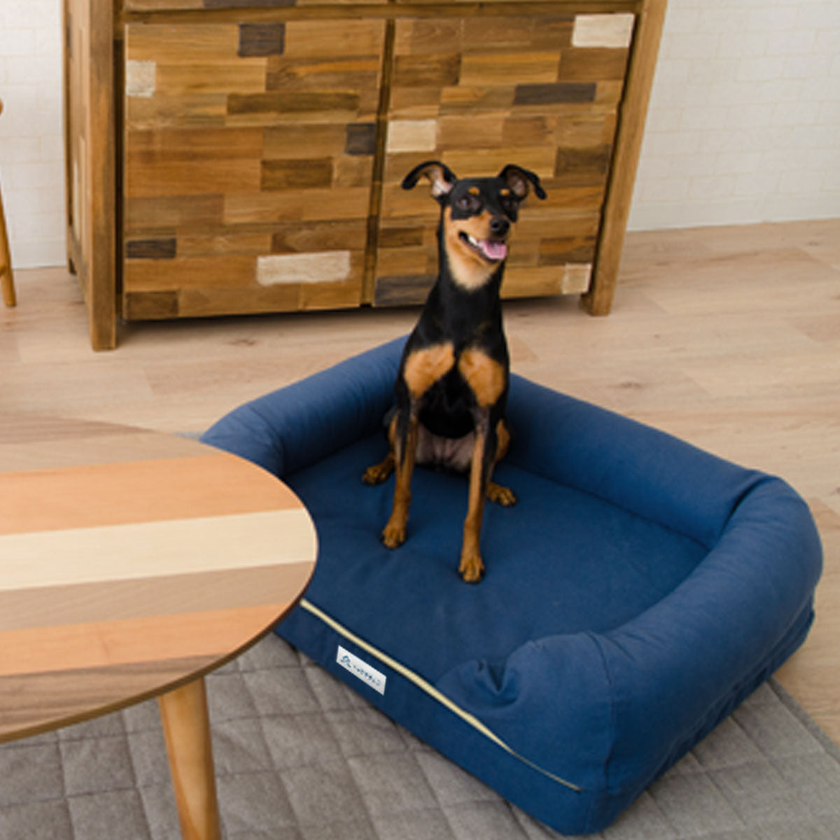 【ワンコnowa掲載】 年代に合わせて選ぶ 3Dベッド 本体+洗い替え用カバーセット 成犬タイプ Mサイズ 超小型犬 小型犬 洗い替え付き