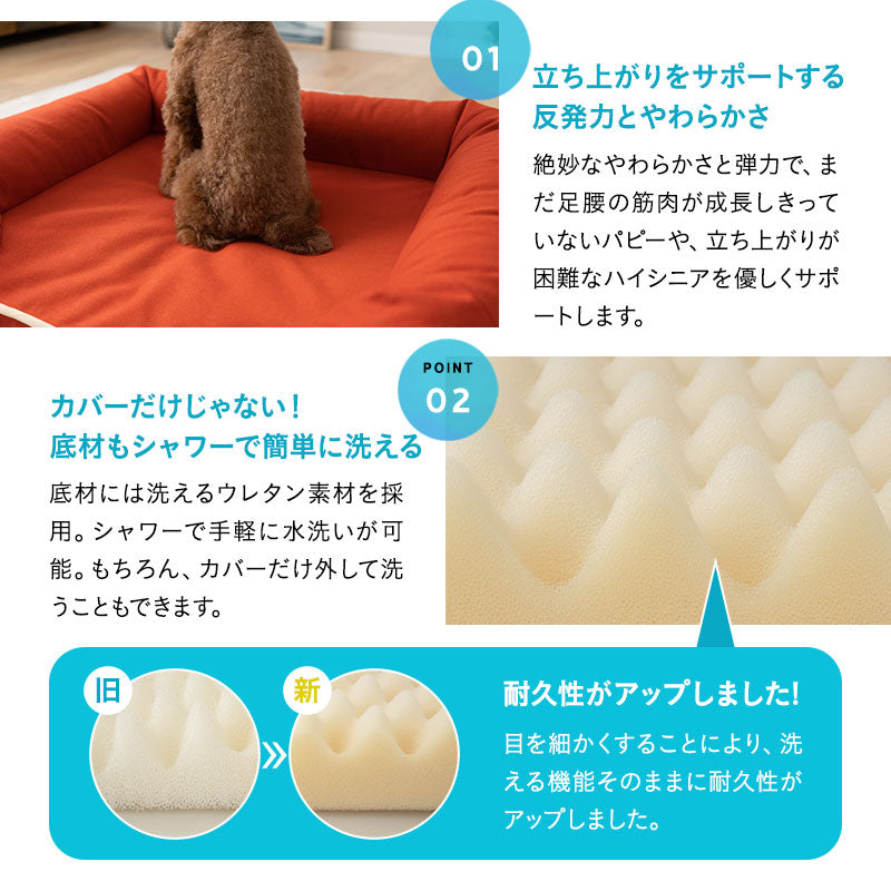 【ワンコnowa掲載】 年代に合わせて選ぶ 3Dベッド 本体+洗い替え用カバーセット 成犬タイプ Lサイズ 小型犬 中型犬 洗い替え付き