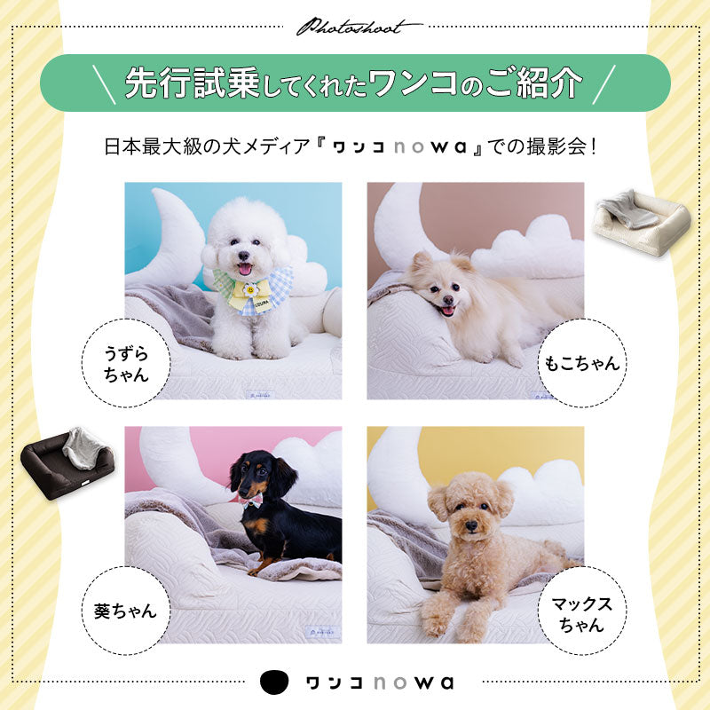 年代に合わせて選ぶ 3Dベッド プレミアムタイプ 小型犬 中型犬 大型犬 ブランケット付き 洗えるカバー付き ペットベッド ドッグベッド キャットベッド 犬用 猫用 ペット用 ベッド カドラー ペット用品