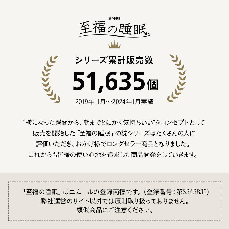 リビングで寝るパッド ラグ ラグマット カーペット 絨毯 敷きパッド マシュマロ しっとり