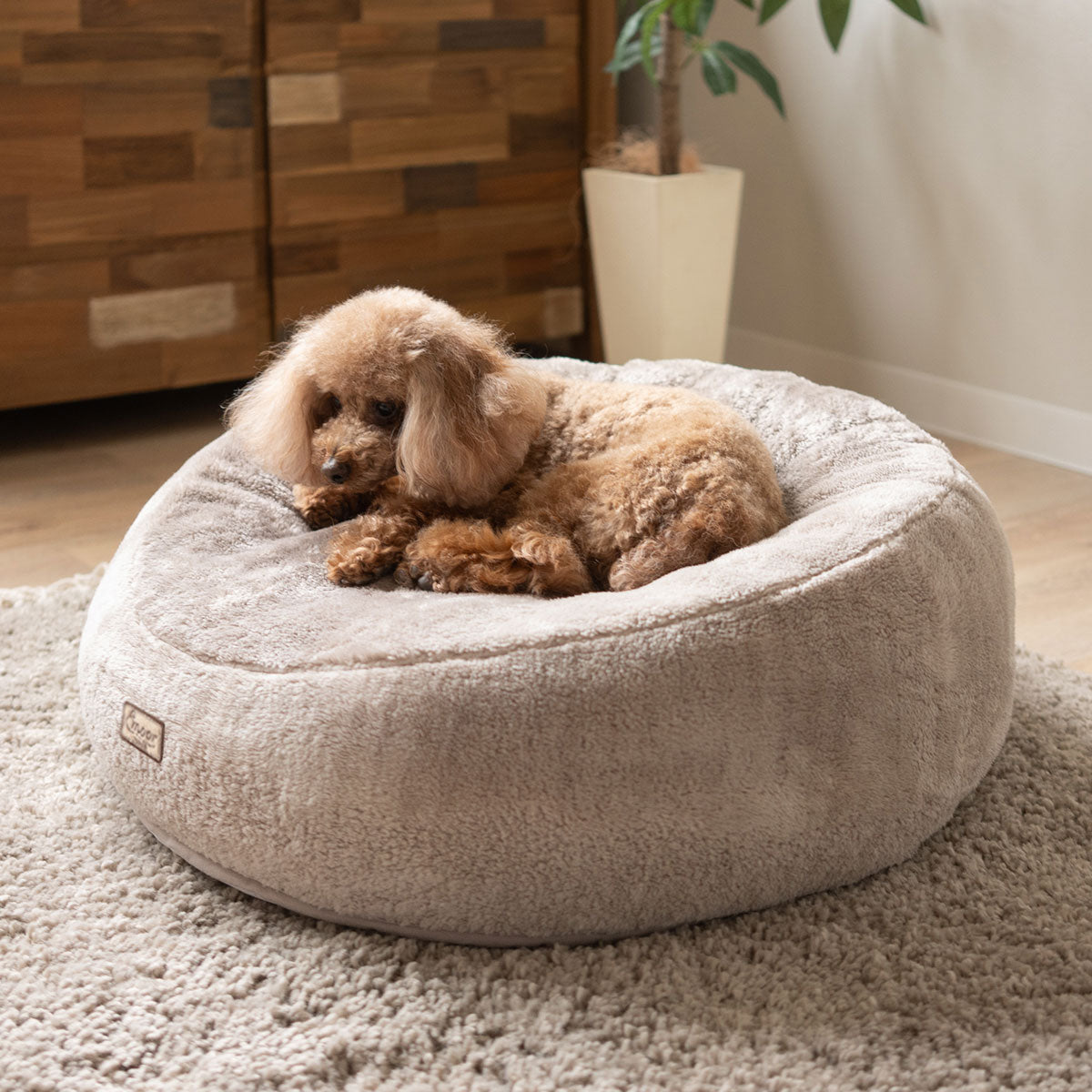 ペットベッド カドラー 小型犬 パピー 成犬 シニア 傾斜 あご乗せ ドッグベッド キャットベッド 犬用ベッド 猫用ベッド 犬用 猫用 ペット用 吸湿発熱 極暖 +4℃ あったか 寒さ対策 防寒対策 ペット用品