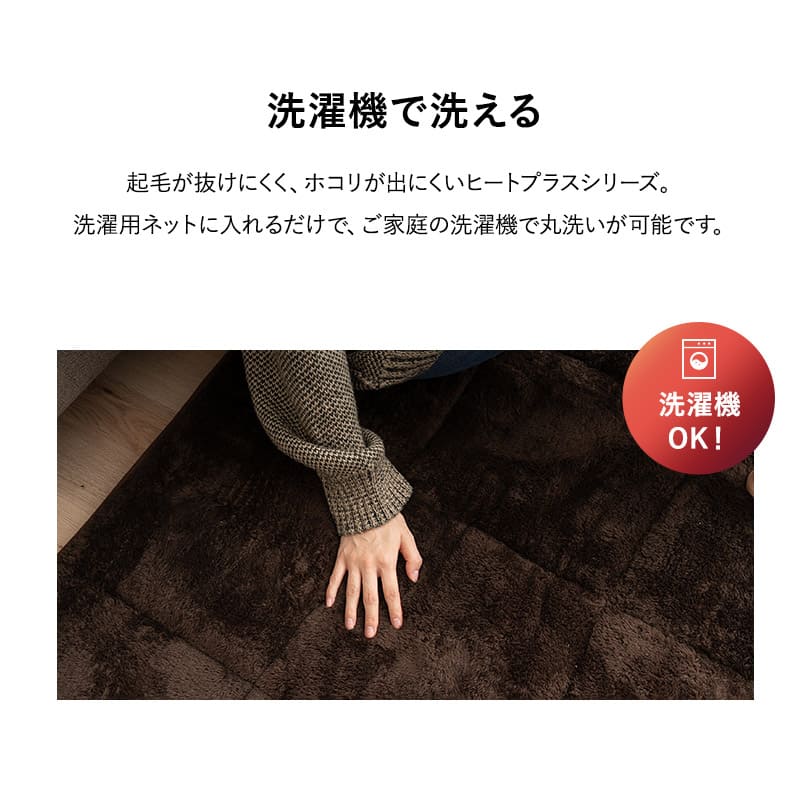 ラグ ラグマット 190×240cm カーペット 絨毯 敷きパッド 極暖 +4℃ 吸湿発熱 あったか 秋 冬 防寒対策 寒さ対策 冷え対策 長方形 約3畳 大判 大きい