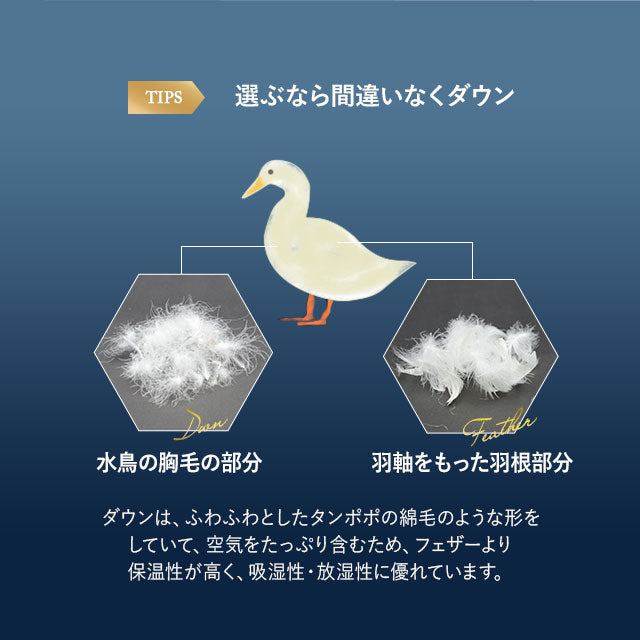 羽毛布団 クイーン 日本製 ロイヤルゴールドラベル ポーランド産ホワイトダックダウン93% 非圧縮 新合繊生地使用 軽量 収納ケース付き ループ付き