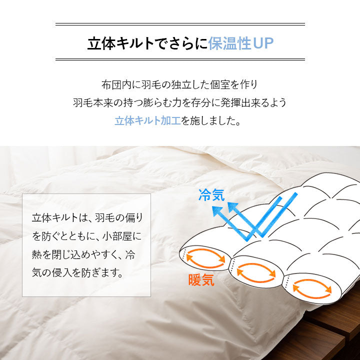 羽毛肌掛け布団 ダブル 日本製 エクセルゴールドラベル ダウンケット 羽毛布団 フランス産ホワイトダックダウン90% 非圧縮 新合繊生地使用 軽量 収納ケース付き ループ付き