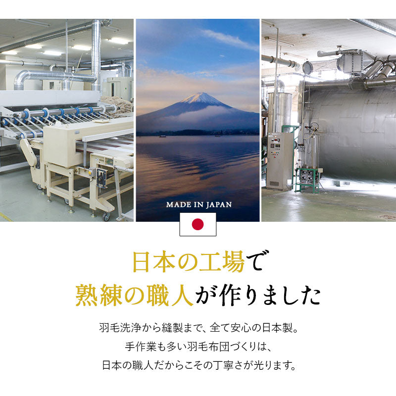 羽毛布団 セミダブル 日本製 ロイヤルゴールドラベル ポーランド産ホワイトダックダウン93% 非圧縮 抗菌 防臭 収納ケース付き ループ付き