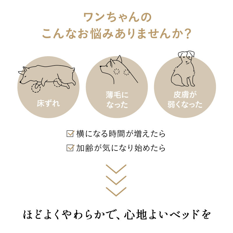 介護用 ドッグベッド 小型犬 中型犬 大型犬 シニア 枕付き 撥水カバー付き 低床 あご乗せ やわらか ドッグケアベッド 介護用ベッド ペットベッド ドッグベッド 老犬 高齢犬 犬用 ペット用 介護用品 ペット用品
