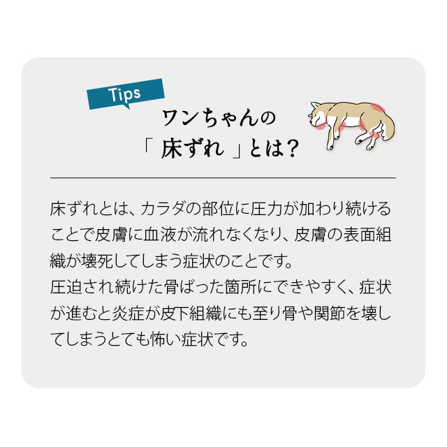 介護用 カウチベッド 中型犬 シニア L字型 低床 あご乗せ 滑り止め付き 介護用ベッド ペットベッド ドッグベッド キャットベッド 老犬 高齢犬 犬用 猫用 ペット用 介護用品 ペット用品