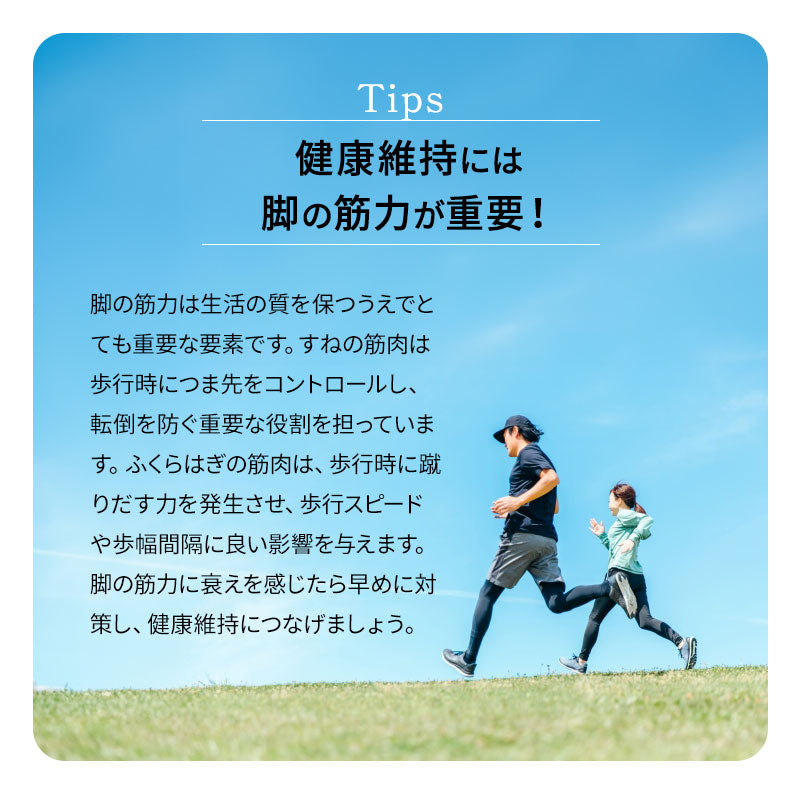 【お散歩ウォーク】 自走式 ルームウォーカー 手すり付き マット付き キャスター付き 折りたたみ 健康器具 歩行 ウォーキング トレーニング フィットネス ながら運動 有酸素運動 ロコモ対策