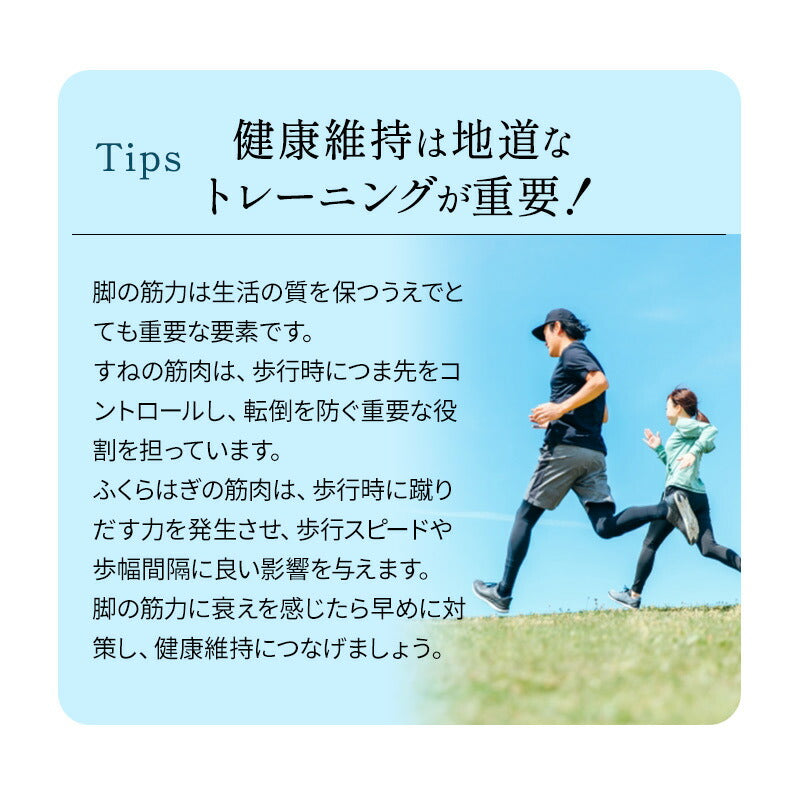 【座運動バイク】 フィットネスバイク エアロバイク ペダル運動 有酸素運動 エクササイズマシン 健康器具 座ったまま トレーニング ダイエット フィットネス ながら運動 ロコモ対策