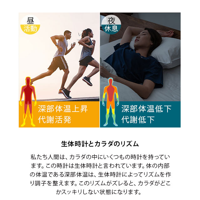 ウェイクアップライト 目覚ましライト タイマー LED 卓上 調光 明るさ切替 明るい 朝日模擬光 光 Light ベッドサイドランプ ベッドランプ デスクライト 卓上ライト スタンドライト