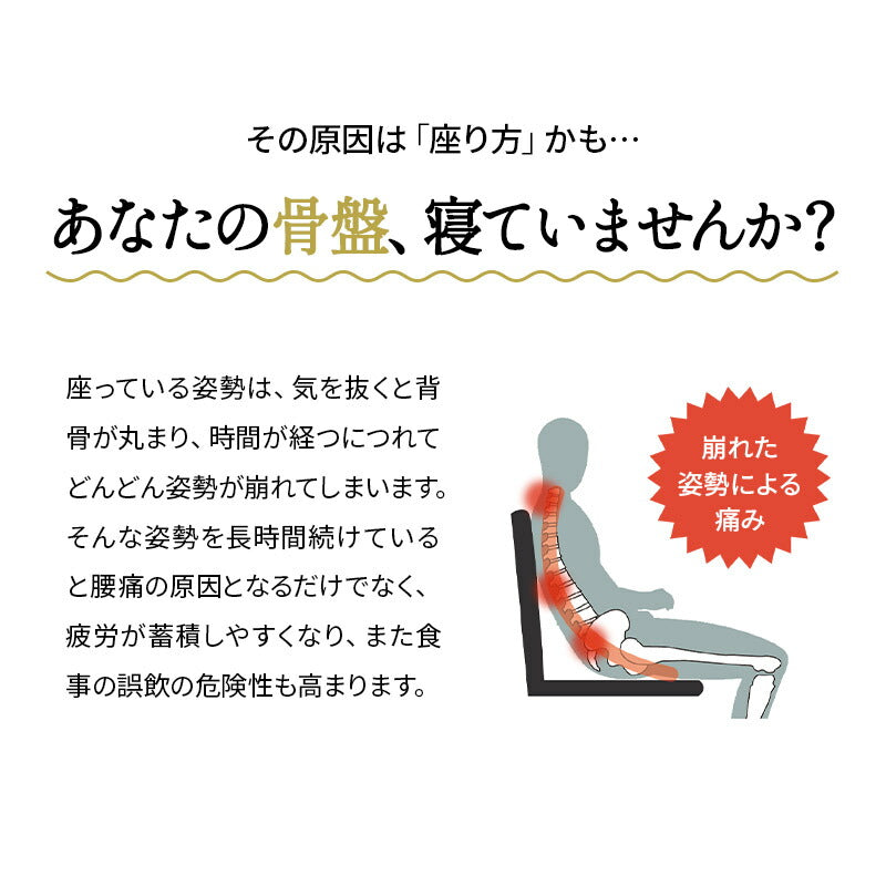 車椅子のクッションメーカーが作った腰クッション リクライニングチェア用 固定バンド付き バブルエアー調整 腰痛対策 医療 介護