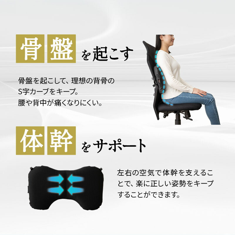 車椅子のクッションメーカーが作った腰クッション リクライニングチェア用 固定バンド付き バブルエアー調整 腰痛対策 医療 介護