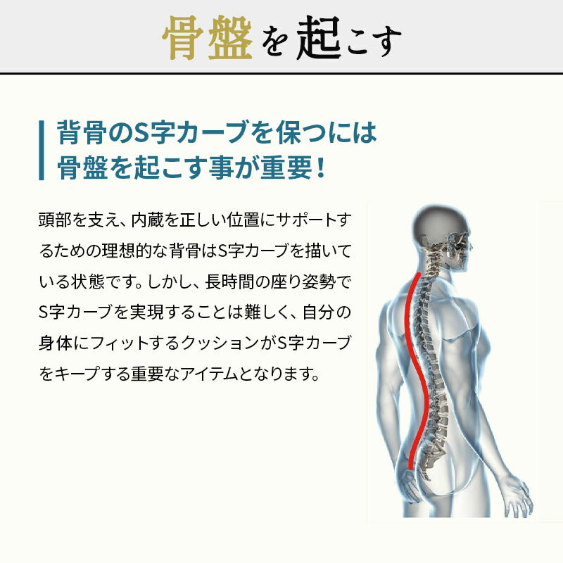 車椅子のクッションメーカーが作った腰クッション リクライニングチェア用 固定バンド付き バブルエアー調整 腰痛対策 医療 介護