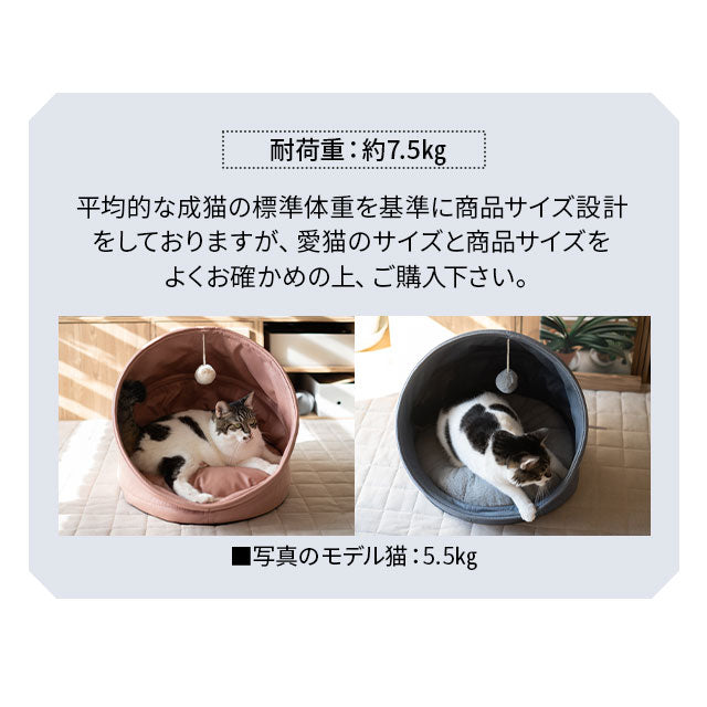 キャットベッド キャットハウス 猫 ドーム型 おもちゃ付き クッション付き 折りたたみ 猫用ベッド ペットベッド 猫用 ペット用 ベッド 隠れ家 寝床 ペット用品 ASONERU アソネル 【ペット大好きさんにおすすめアイテムとしてメディア掲載】