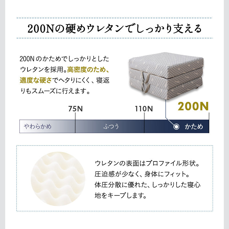 組み合わせて使う 省スペース システムベッド 3点セット (ハンガーシェルフ・デイベッド・コンパクトマットレス) 折りたたみデスク付き 棚付き ベッド上収納 壁面収納