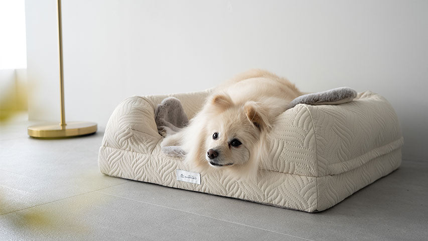 mong gu ラウンド型ベッド 70cm(Mサイズ) gugudoggietopimage1200x900.jpg