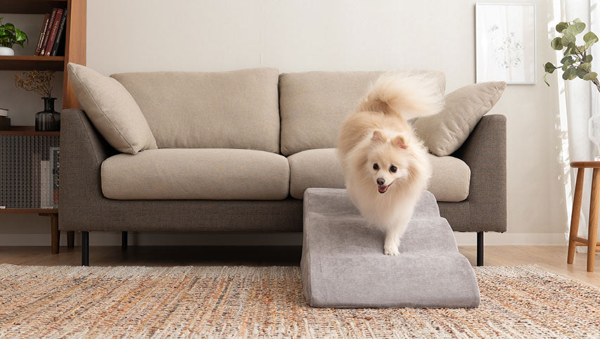 ペット介護予防用品 – エムール公式オンラインショップ