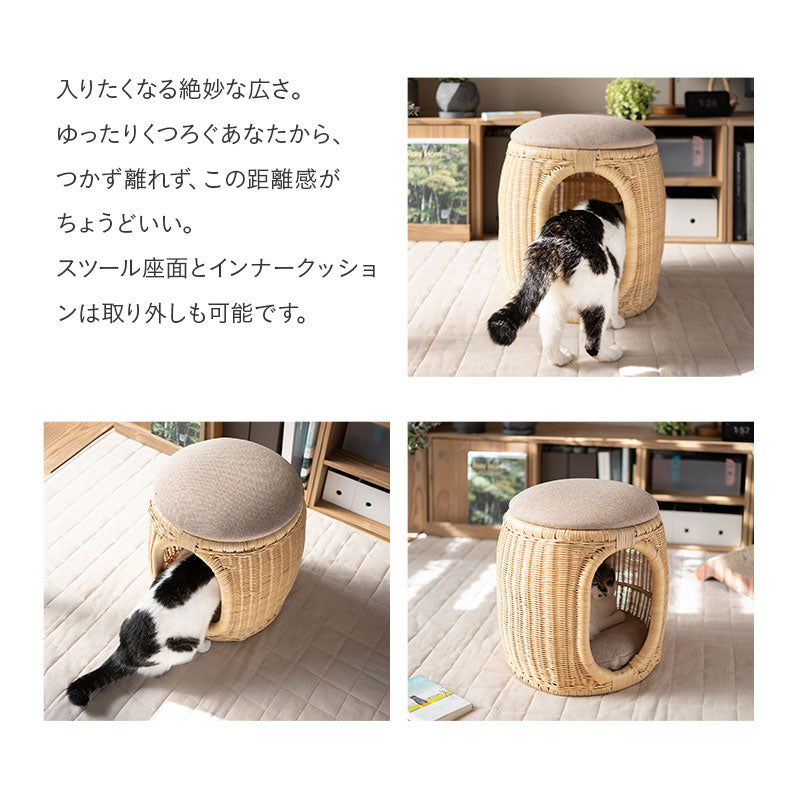 キャットベッド スツール 猫 クッション付き ラタン 籐 天然素材 軽量 猫用ベッド ペットベッド 猫用 ペット用 隠れ家 寝床 椅子 スツール 腰掛け ペット用品