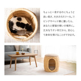 キャットベッド スツール 猫 クッション付き ラタン 籐 天然素材 軽量 猫用ベッド ペットベッド 猫用 ペット用 隠れ家 寝床 椅子 スツール 腰掛け ペット用品