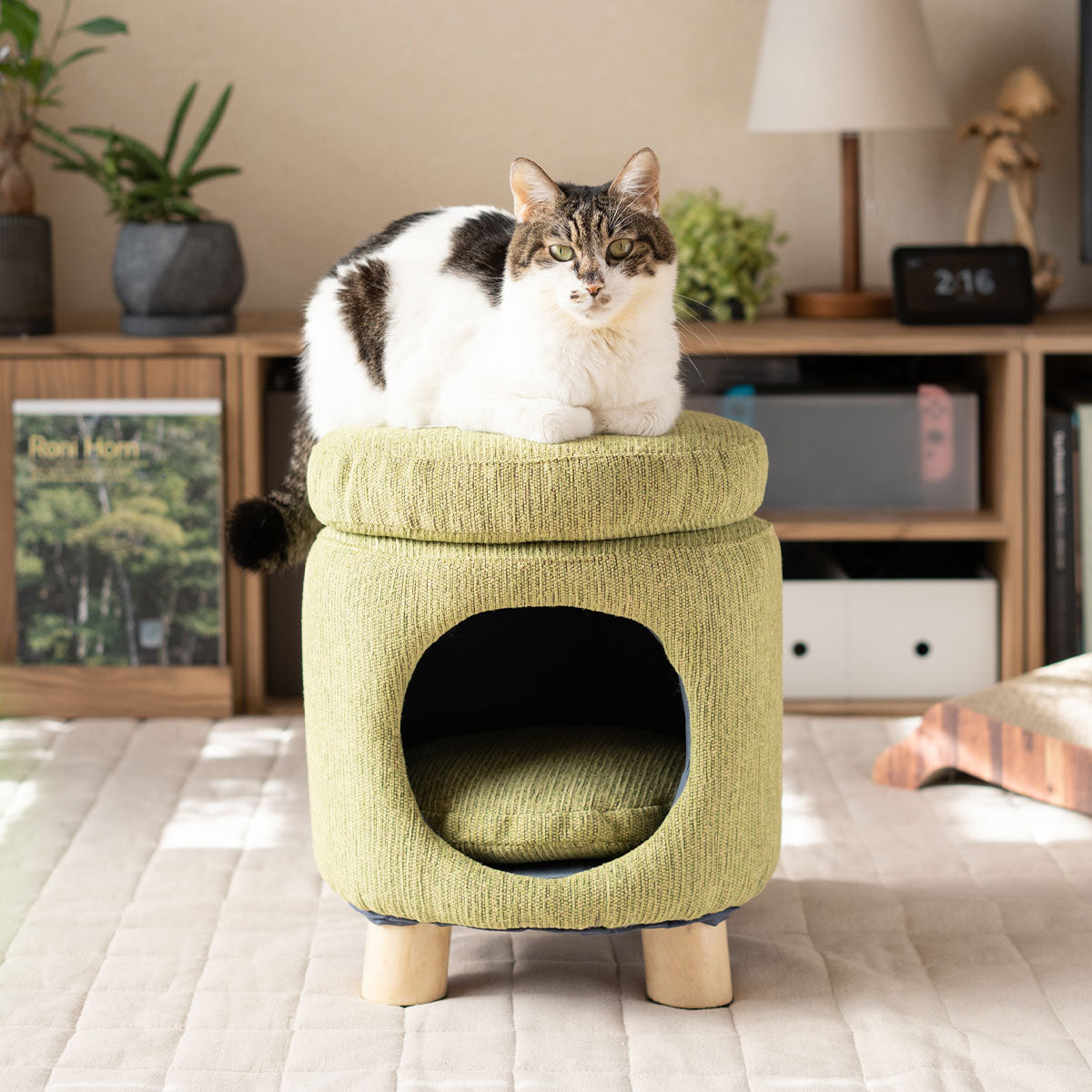 ドームベッド スツール 猫 クッション付き 天然木 軽量 キャットベッド 猫用ベッド ペットベッド 猫用 ペット用 隠れ家 寝床 椅子 腰掛け ペット用品