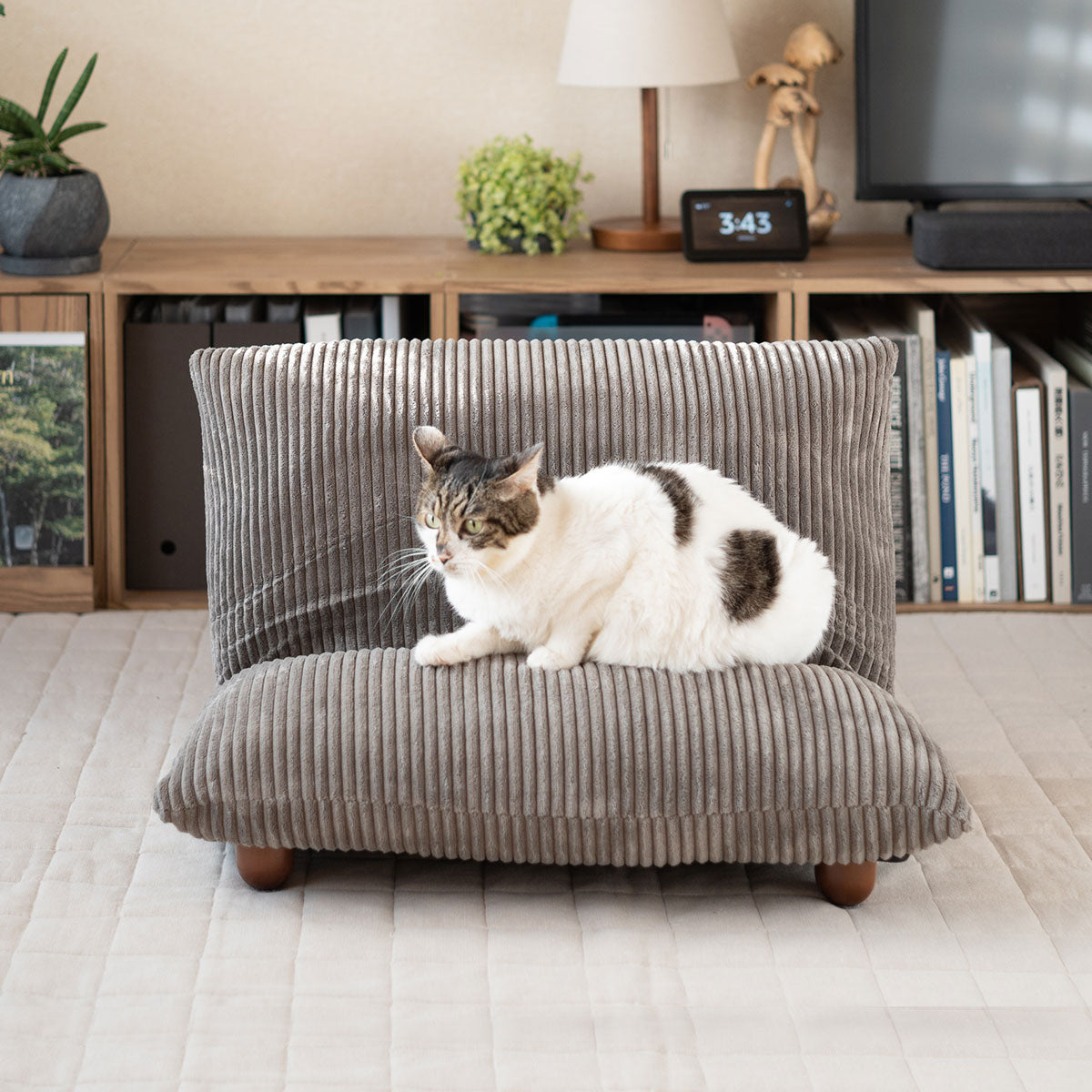 新品】ペット用 ベッド ソファ 犬用 猫用 RILI リリ GY グレー ペット