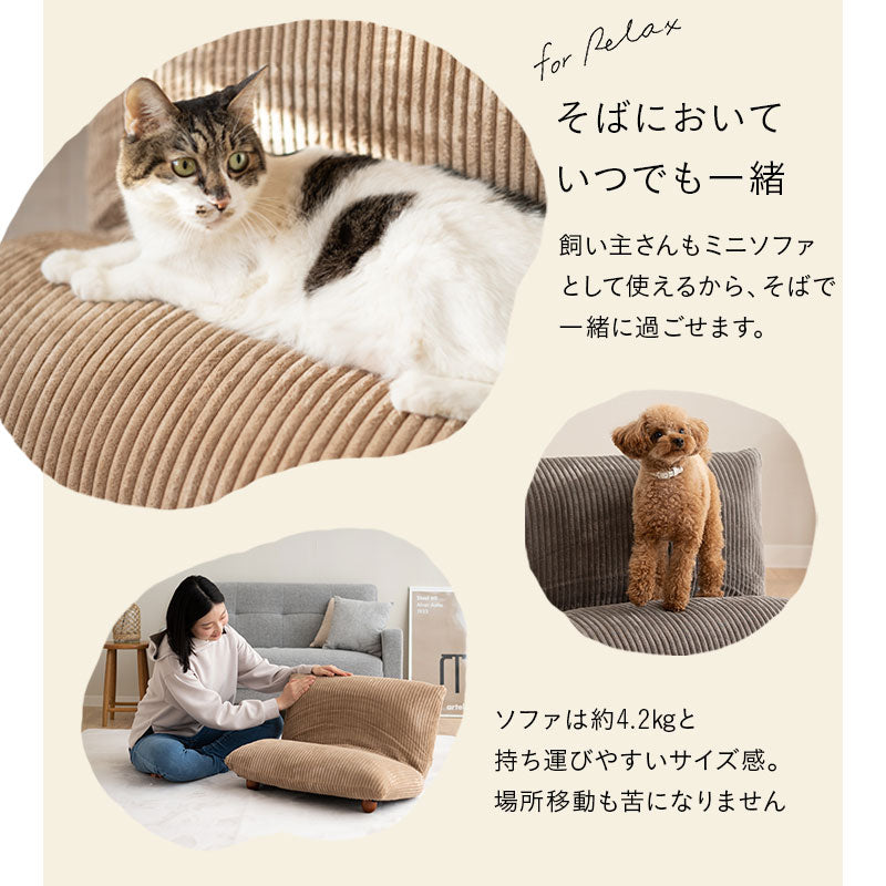 ミニソファベッド ペット ベッド 猫 キャット 犬 ドッグ いつでも
