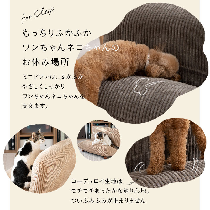 ミニソファベッド ペット ベッド 猫 キャット 犬 ドッグ いつでも