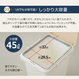 ハンドオープン式 ダストボックス 45L 同色2個セット 日本製 角型 分別シール付き ふた付き