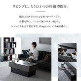 Diago ディアゴ リフトアップテーブル 幅105cm 長方形 昇降式 収納付き セラミック調 センターテーブル ローテーブル 食事 仕事 リビング