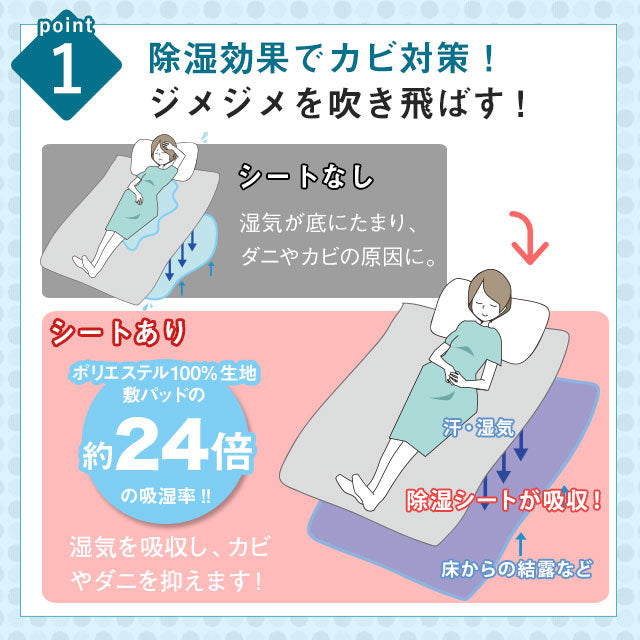 除湿シート ファミリーサイズ 220×180cm 吸湿シート 洗える 防ダニ 防カビ 洗濯可