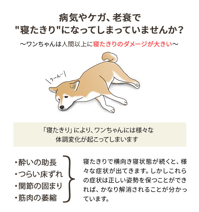 【ワンコnowa掲載】 介護用 ドッグベッド 中型犬 大型犬 シニア ダブルカバー付き 介護用ベッド ペットベッド ドッグベッド 老犬 高齢犬 犬用 ペット用 体位変換 床ずれ防止 誤嚥防止 寝たきり 介護用品 ペット用品