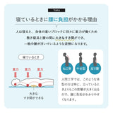 すき間を埋める 腰まくら 腰枕 背中枕 腰用 クッション 高さ調節シート付き 腰痛 猫背 反り腰 ストレッチ 敬老の日 母の日 父の日 ギフト プレゼント