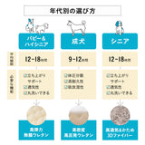 【ワンコnowa掲載】 年代に合わせて選ぶ 3Dベッド  シニアタイプ Mサイズ 超小型犬 小型犬 洗えるカバー付き