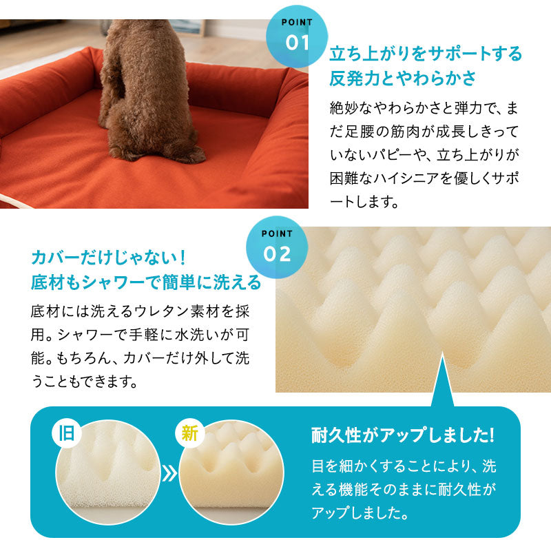 【ワンコnowa掲載】 年代に合わせて選ぶ 3Dベッド  シニアタイプ Mサイズ 超小型犬 小型犬 洗えるカバー付き