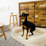 【ワンコnowa掲載】 年代に合わせて選ぶ 3Dベッド 本体＋洗い替え用カバーセット シニアタイプ Lサイズ 小型犬 中型犬 洗い替え付き