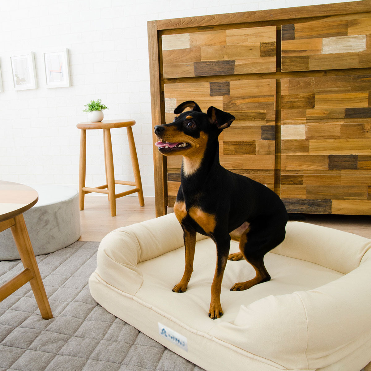 【ワンコnowa掲載】 年代に合わせて選ぶ 3Dベッド 本体＋洗い替え用カバーセット 成犬タイプ Lサイズ 小型犬 中型犬 洗い替え付き