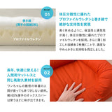 【ワンコnowa掲載】 年代に合わせて選ぶ 3Dベッド 本体＋洗い替え用カバーセット パピー＆ハイシニアタイプ Lサイズ 小型犬 中型犬 洗い替え付き